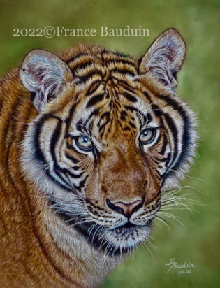 Young Tigress - 45 hours
brown Pastelmat Board
14.5" x 11"
Ref: Anne Noël Young Tigress - 45 hours
brown Pastelmat Board
14.5" x 11"
Ref: Anne Noël